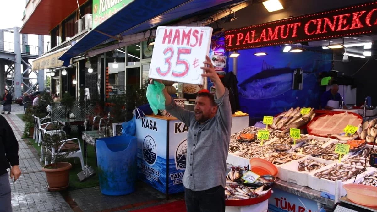 Hamsi bereketi Karadeniz’i sardı: 3 kilosu 100 TL
