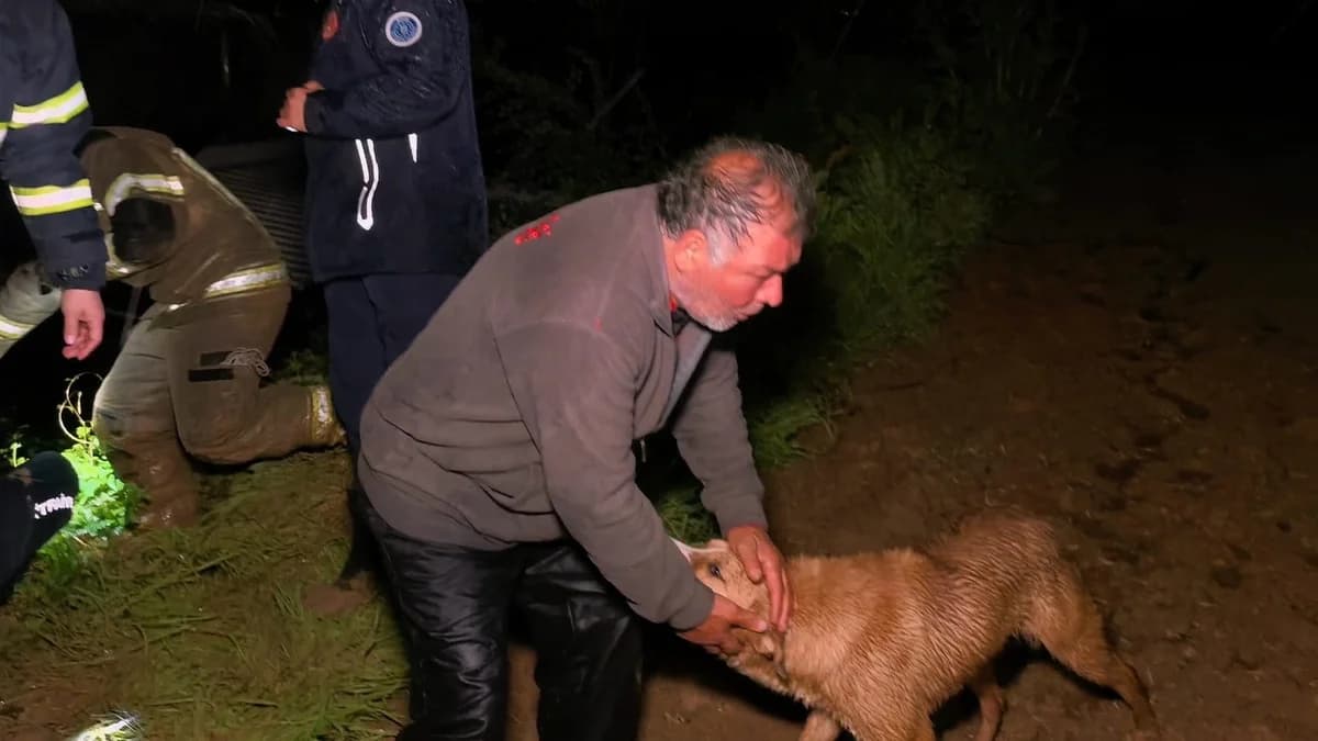 Bursa’da Sel Suları Çiftliği Bastı: Çiftçi ve Sadık Dostu İtfaiyenin Kahramanlığıyla Kurtarıldı