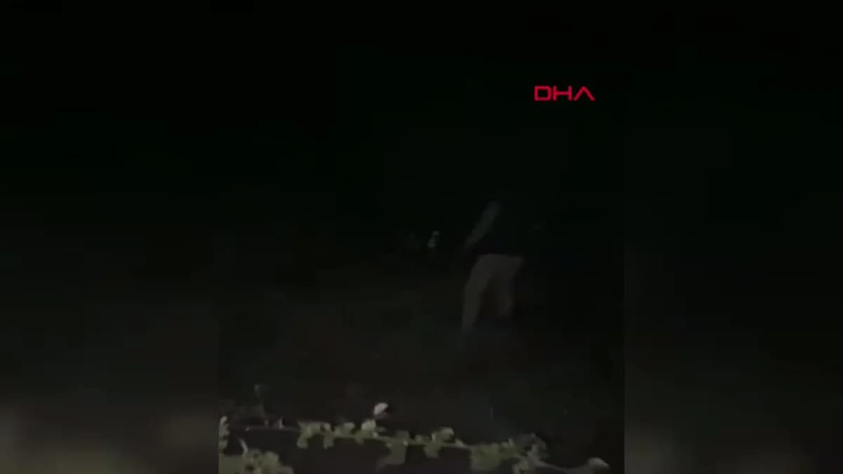 Amasya’da Kaybolan Gebe İnek ve Buzağısı AFAD Ekipleri Tarafından Bulundu