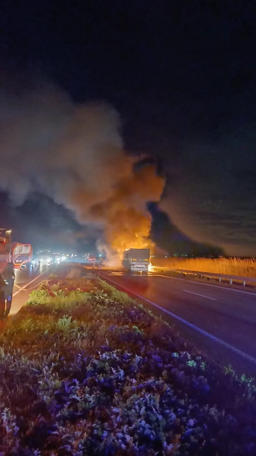 Bursa’da Buğday Yüklü TIR Alev Alev Yandı
