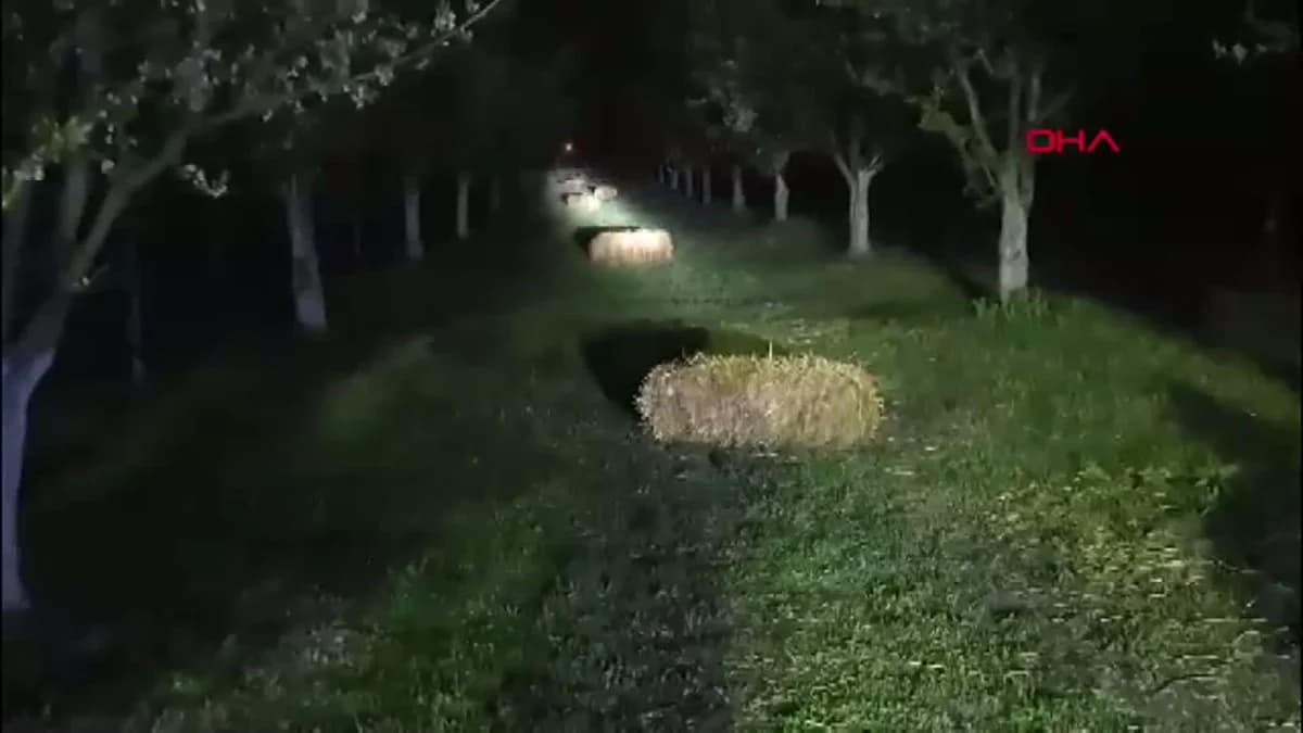 Iğdır’da Kayısı Üreticileri Don Tehlikesine Karşı Mücadele Ediyor