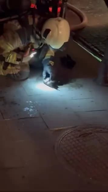 Bayrampaşa’da Market Yangınından Kurtarılan Kediye Kalp Masajı: İtfaiye Erinin Duygusal Anları!