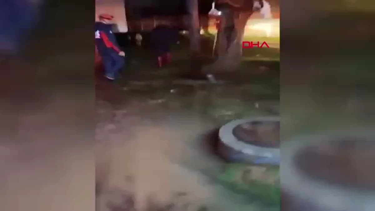 Bingöl’de Sağanak Yağış Sonrası Kepçelerle Kurtarılan Keçiler