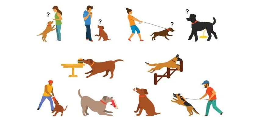 Köpeklerin Ruhsal Durumu: Evcil Hayvanınızı Anlamanın Yolları