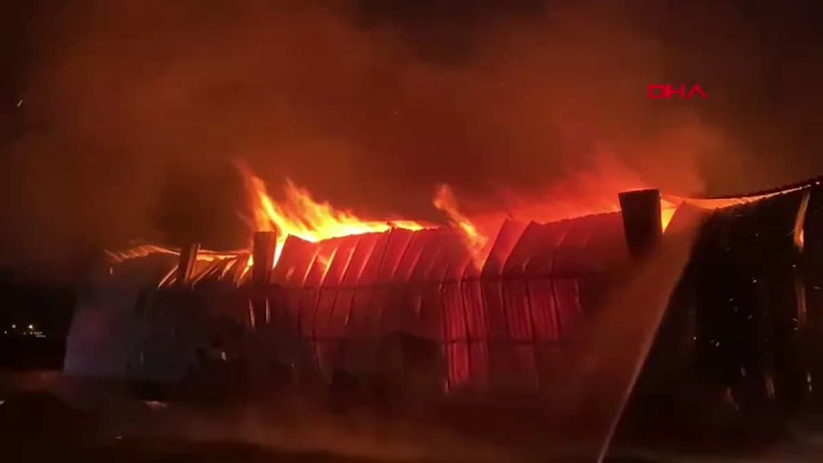 Osmaniye’de Kağıt Fabrikasında Yangın Çıktı