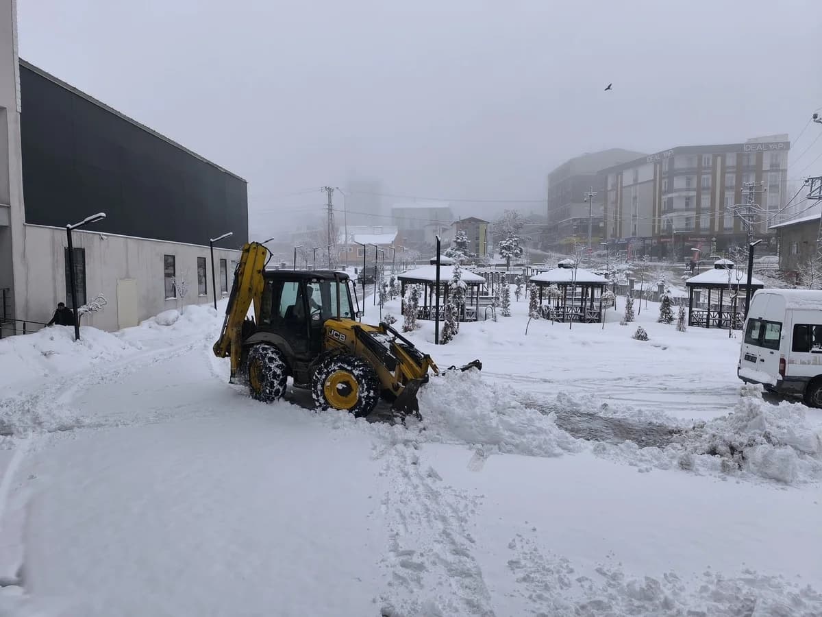 Van’da Mart Ayı Kar Yağışı, Ulaşımda Aksamalar Yaşandı