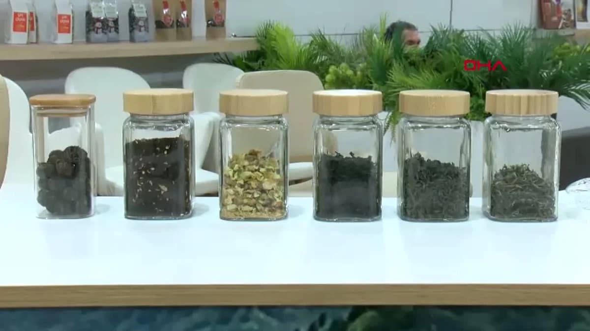 Sınırlı Üretimle Gelen Lüks: Beyaz Çayın Kilogramı 40 Bin TL’ye Ulaştı