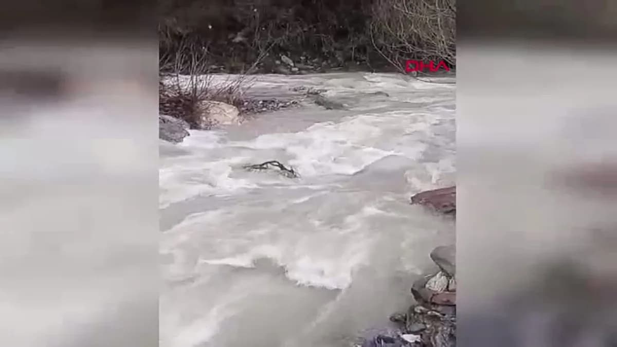 Afyonkarahisar’da Hasret Bitti: Çay Deresi 5 Yıl Sonra Yeniden Hayat Buldu