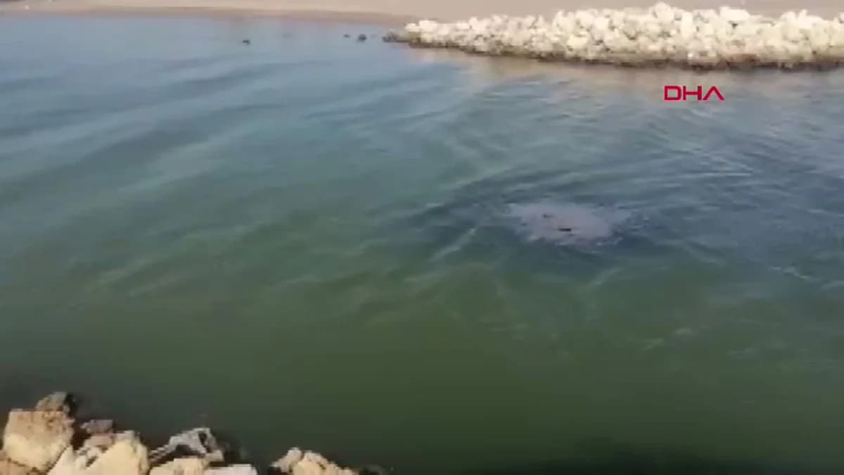 Antalya’da Kaçak Yapılara Yıkım Süreci Başladı: Lağımlar Nehri ve Denizi Tehdit Ediyor
