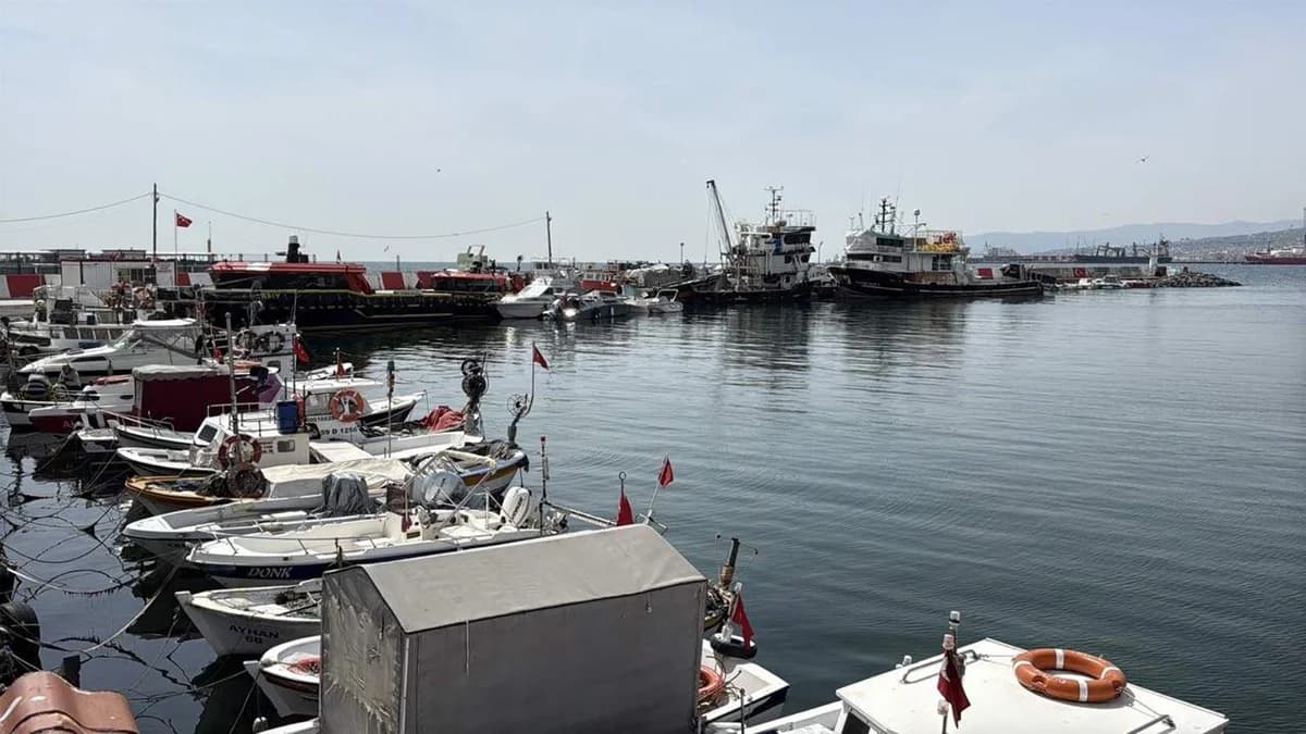 Tekirdağ’da Balıkçılar Sezonun Getirdiklerinden Memnun