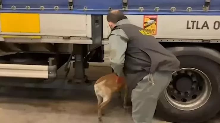 Edirne’de tırda yapılan aramada 240 kilogram uyuşturucu bulundu