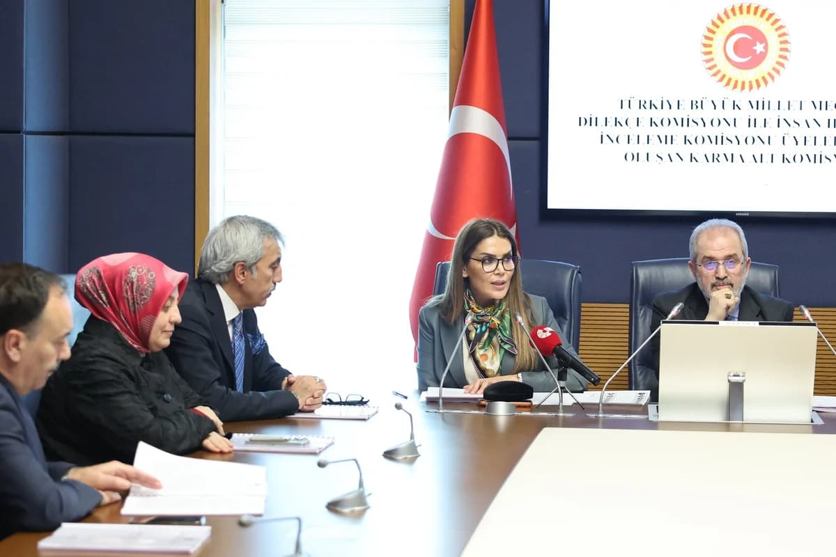 TBMM Karma Alt Komisyonu’na Behiye Eker Seçildi