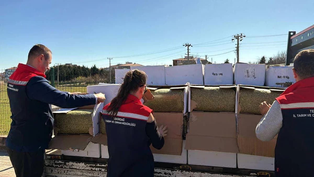 Tekirdağ’da 2 Ton Aflatoksinli Fıstık Ele Geçirildi