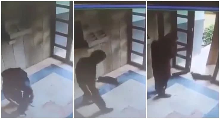 Burak Alan kimdir: Kediyi öldüren şahıs hakkında merak edilenler