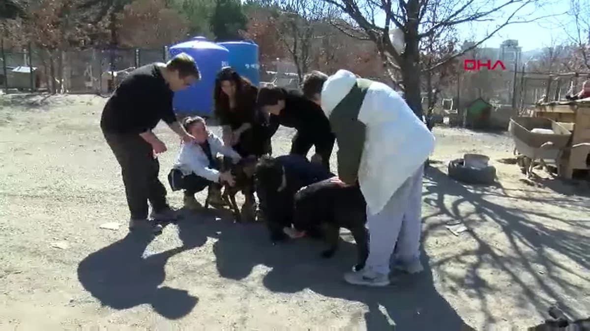İşitme Engelli Öğrencilerden Engelli Köpekler İçin Duyarlı Kampanya