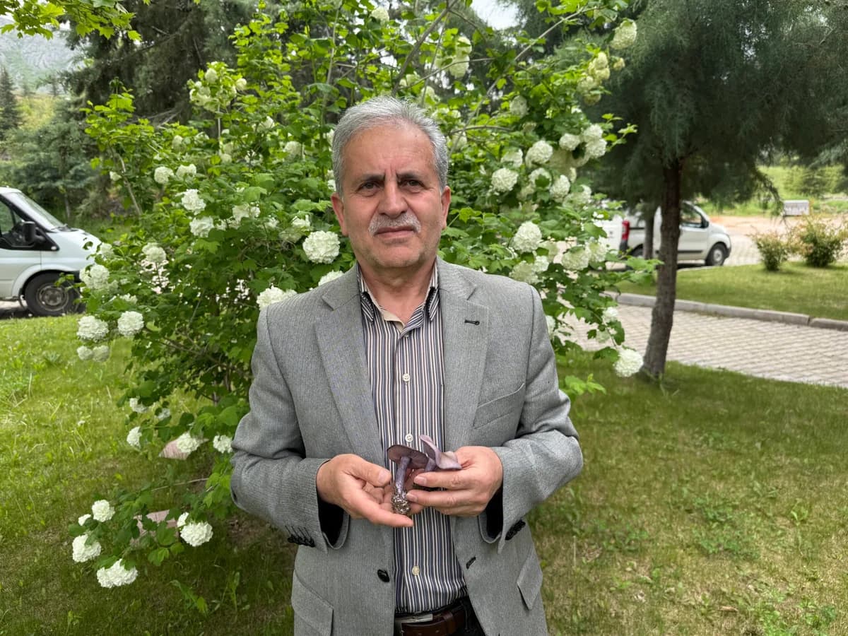 Prof. Dr. Türkekul’dan Zehirli Mantar Uyarısı: ‘Örümcek Mantarı’na Dikkat!