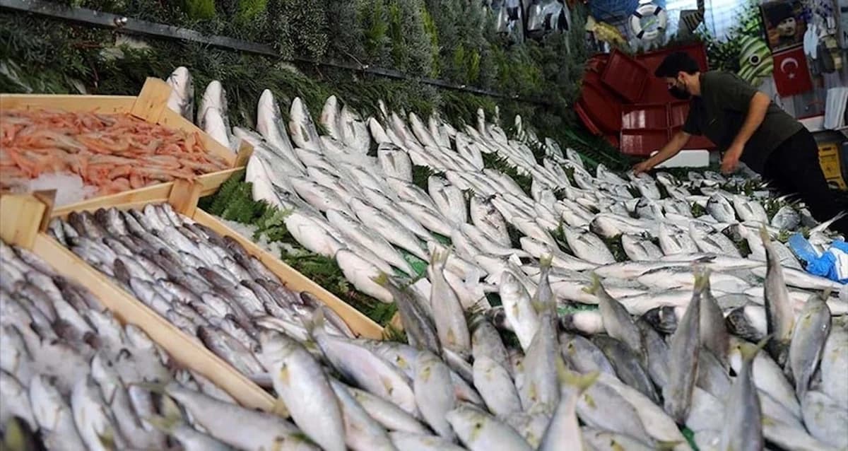 Uzmanlar Açıkladı: Türkiye’de Güvenle Tüketilebilecek Balık Türleri