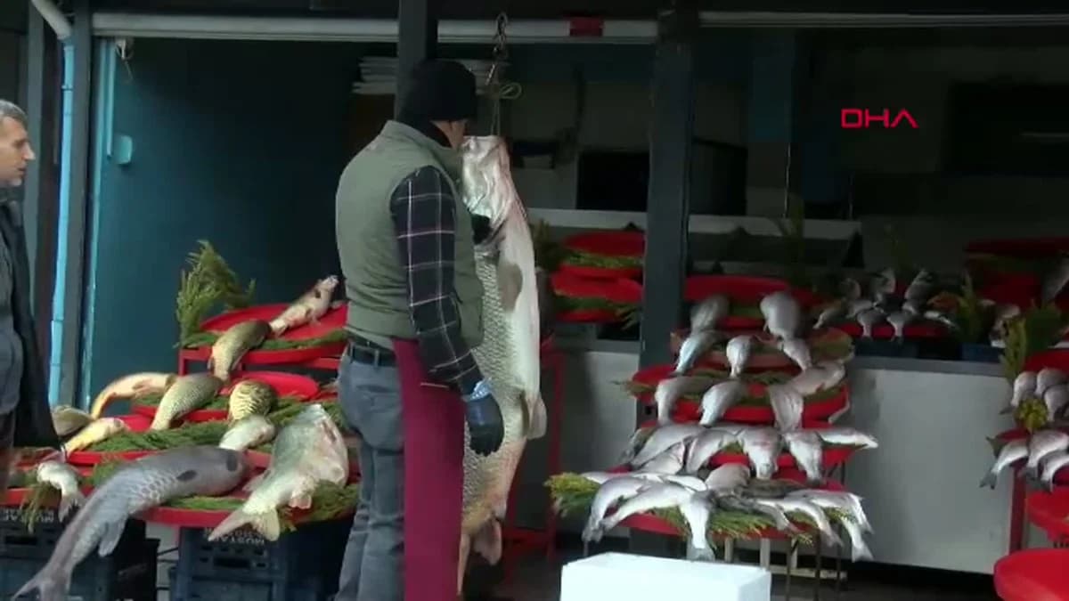 Diyarbakır’da Yakalanan Dev Turna Balığı Hızla Tükendi