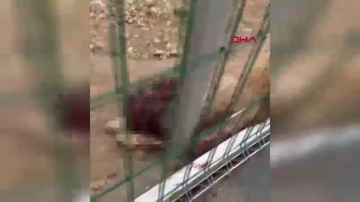 Burdur Bucak’ta Hayvan Barınağındaki İddialara Soruşturma