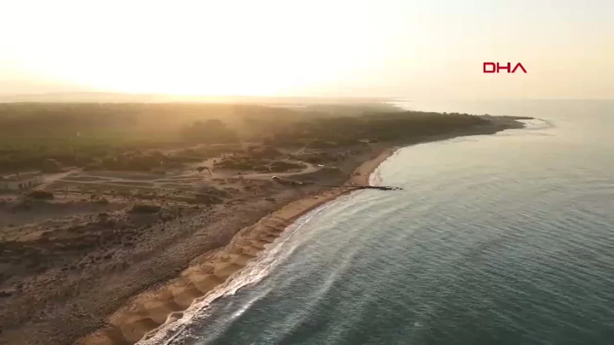 Antalya’da 32 Yıllık Caretta Caretta Mücadelesi: 1,5 Milyon Yavru Denizle Buluştu