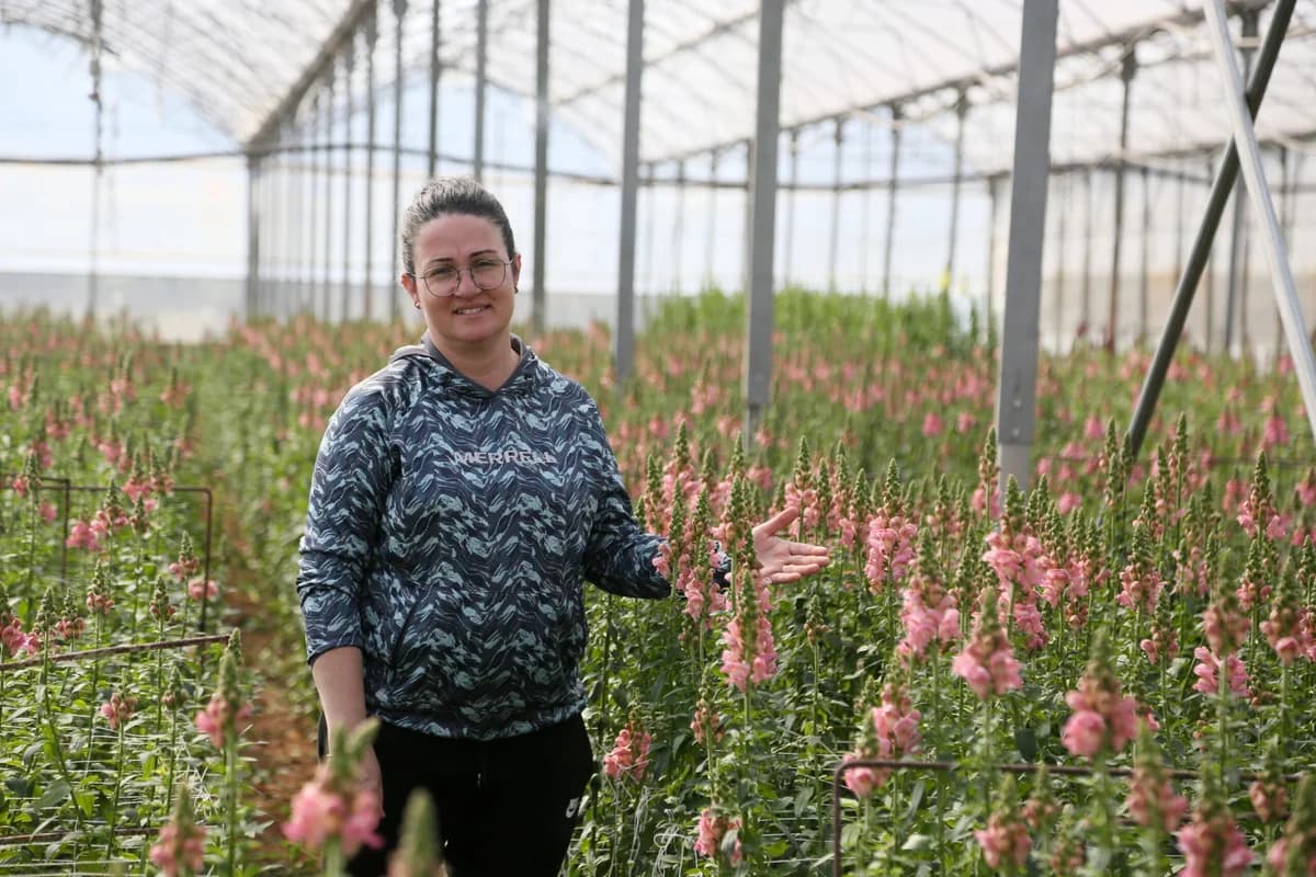 Antalya’dan Avrupa’ya Yeni Çiçek: Aslanağzı