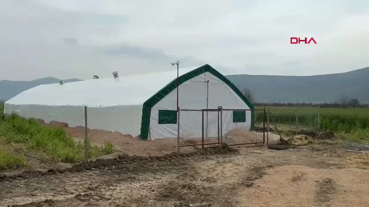 Muğla’da Genç Girişimci, Hayalindeki Tavuk Çiftliğini Kurdu
