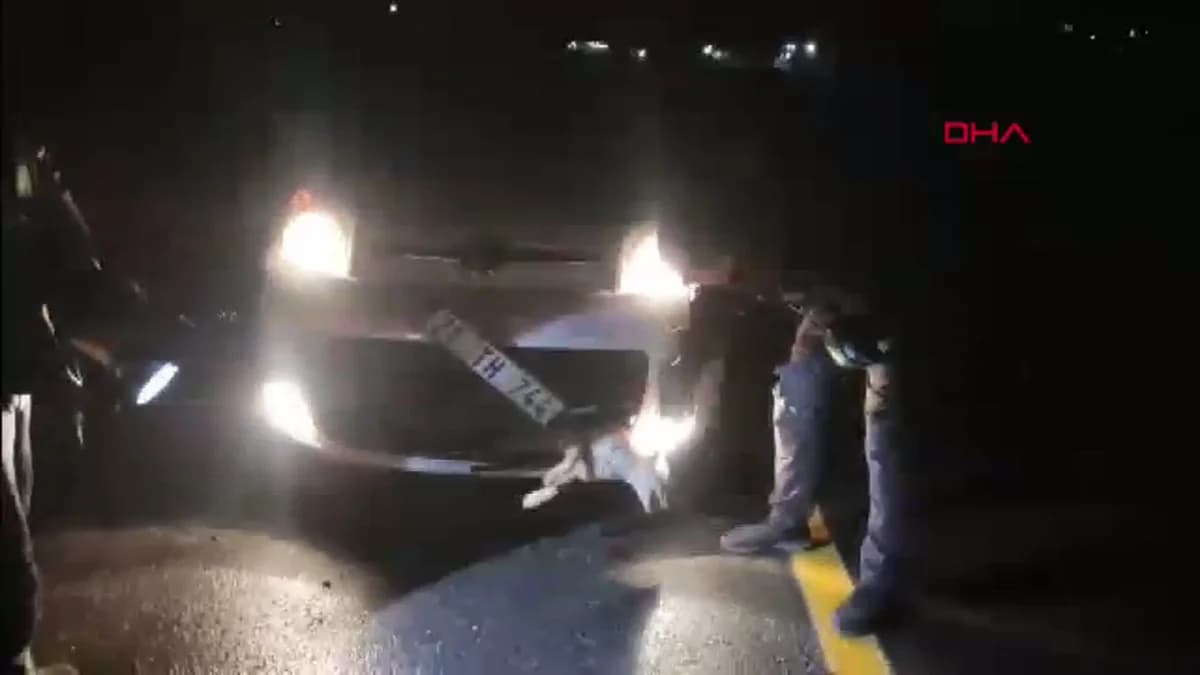 Batman’da Tilki, Araca Çarparak Sıkıştı