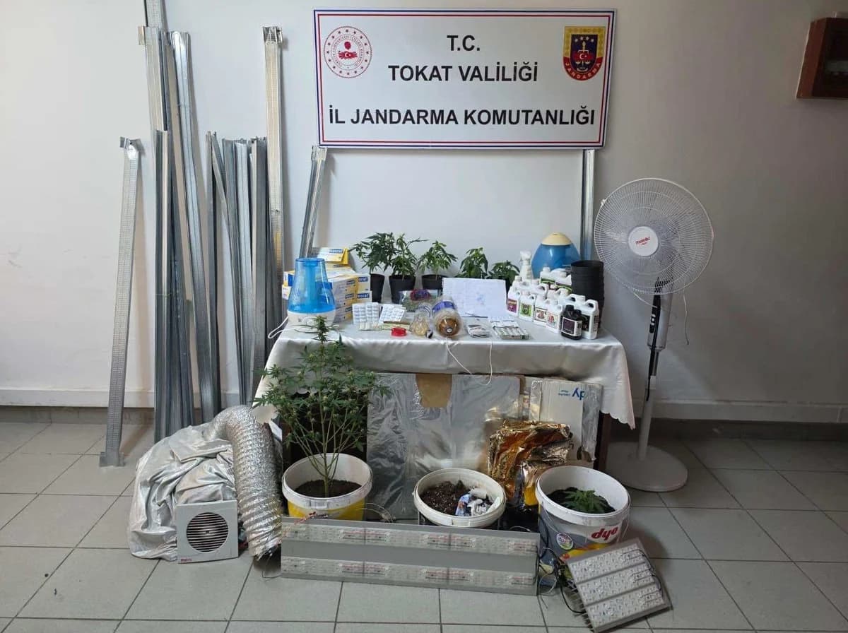 Tokat’ta Kenevir Serasına Jandarma Baskını: 2 Gözaltı