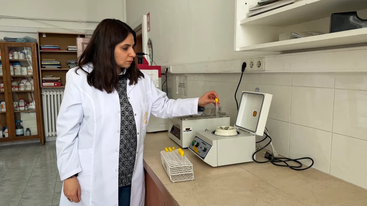 Ankara Üniversitesi’nde Ölü Yaban Hayvanları Üzerine Genetik Araştırmalar
