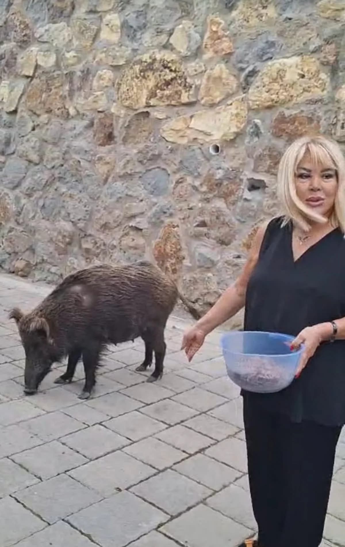 Safiye Soyman’ın Hayvanseverliği: Yaban Domuzuna Ceviz İkramı