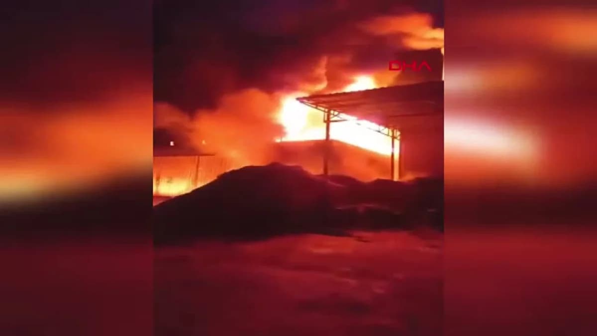 Akyazı’daki Yağ Kazanı Patladı: Yangın Tesisin Kullanımını Durdurdu
