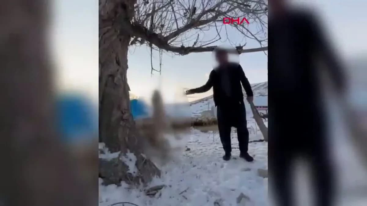 Kayseri’de Şoke Eden Olay: Köpeğini Ağaca Astı
