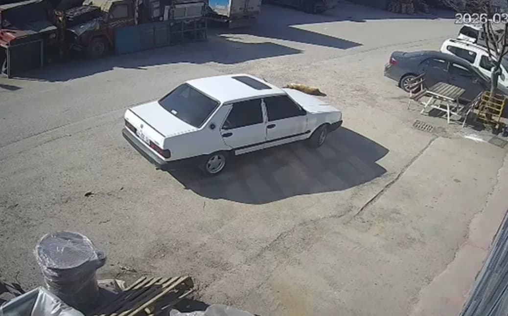 Bolu’da Şaşırtan Olay: Yerde Yatan Köpek Otomobilin Altında Kaldı
