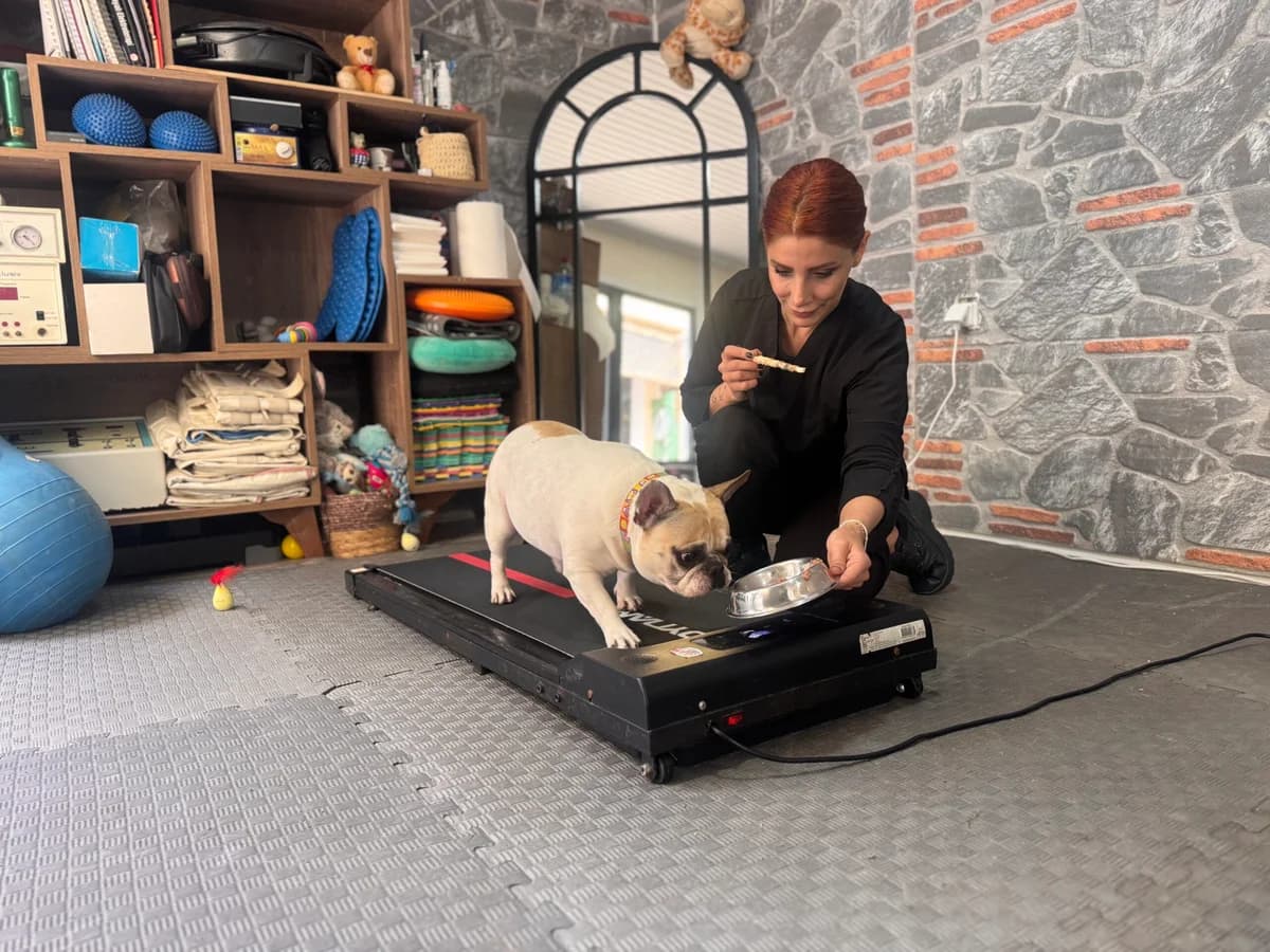 Obeziteyle Savaşan Ori’nin Pilates Yolculuğu