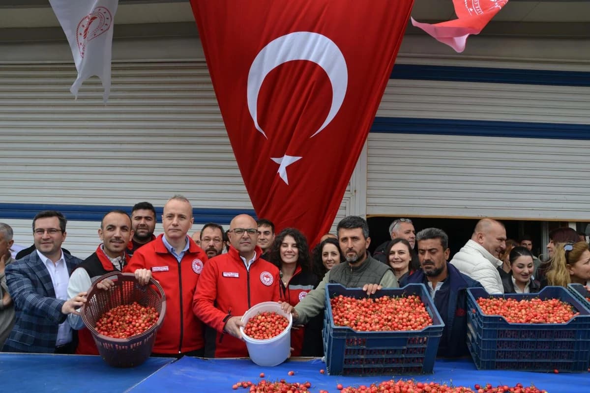 Manisa’da Sezonun İlk Kirazı 6 Bin TL’den Satıldı