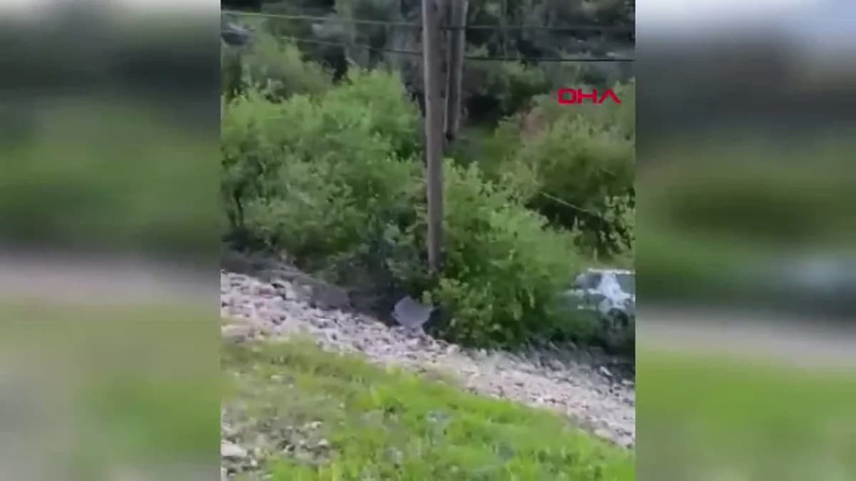 Mersin’de Otomobil Şarampole Devriyle Meydana Gelen Kaza: 1 Ölü, 1 Yaralı