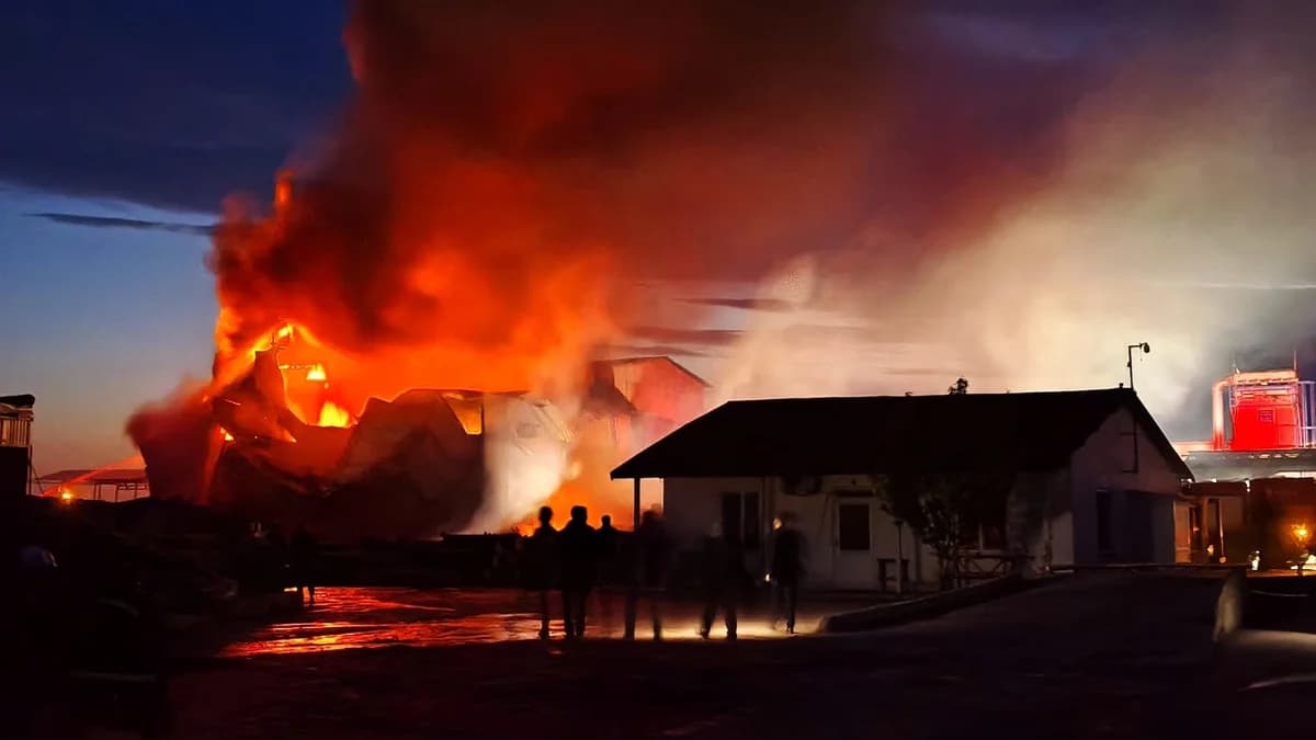 Edirne’deki Kereste Fabrikasında Yangın Çıktı