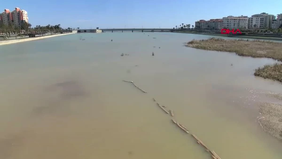Antalya’da Misina ile Mahsur Kalan Martı Kurtarıldı