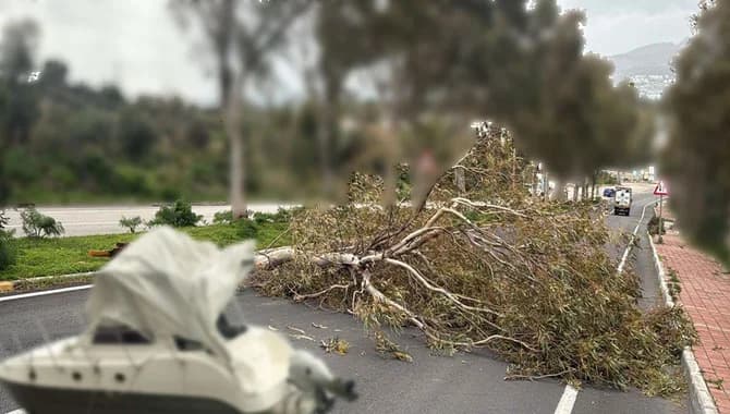 Muğla’da fırtına dehşeti: Dev dalgalar motoryatı karaya oturttu, ağaçlar devrildi
