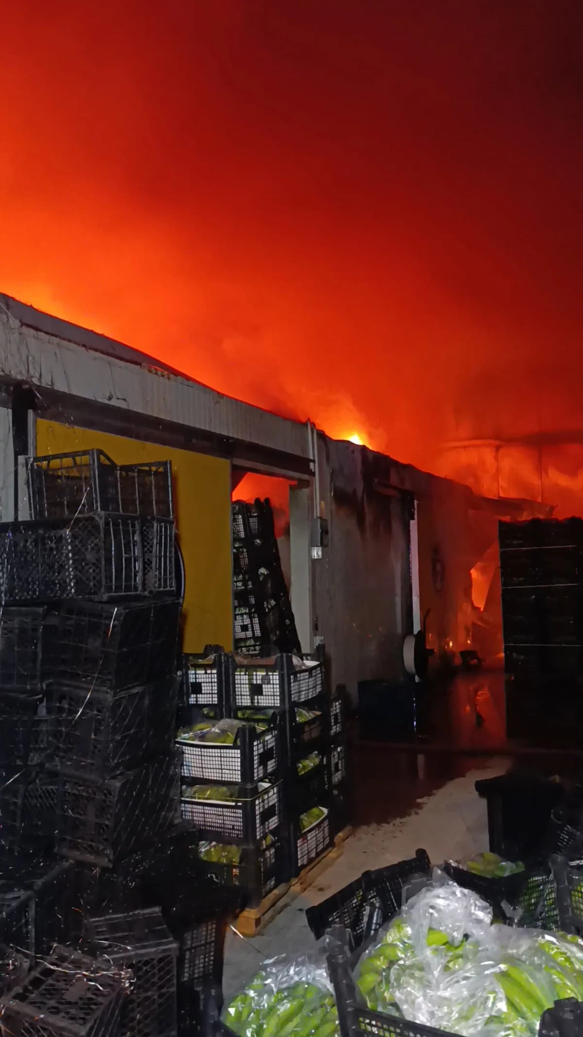 Antalya’da Muz Paketleme Tesisinde Yangın Faciası