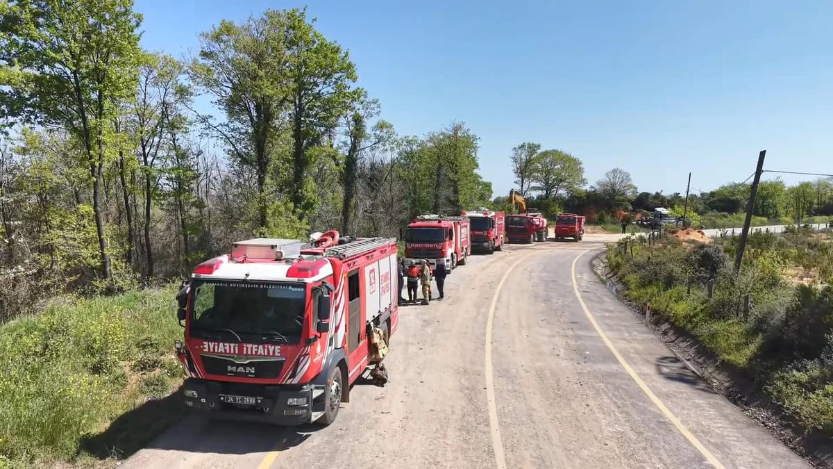 Beykoz’da Orman Yangını: Küllerinden Yeniden Doğdu, 14 Hektarlık Alan Zarar Gördü