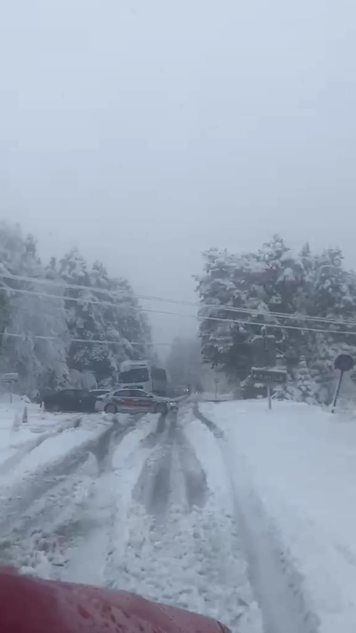 Bolu Dağı Beyaza Büründü: Devrilen Ağaçlar Yolu Ulaşıma Kapattı