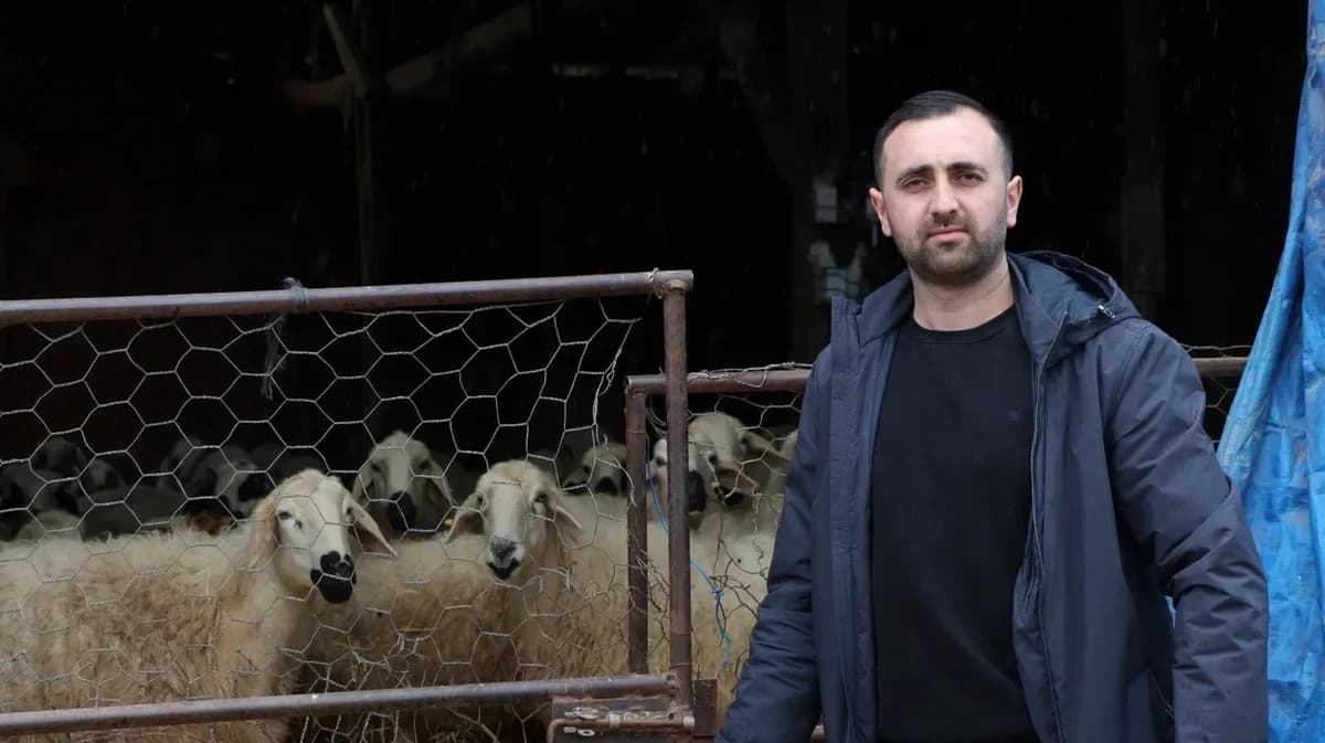 Devlet Desteğiyle Hayvancılıkta Başarı: Sercan Yüce’nin 400 Koyunluk Sürü
