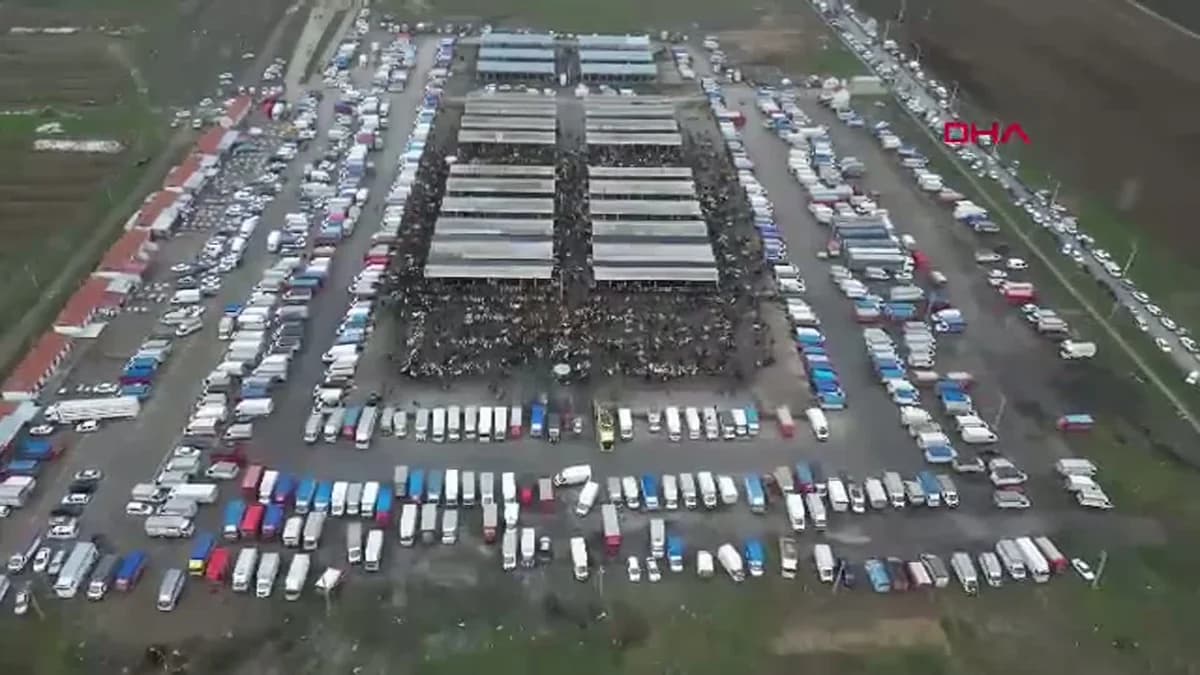Sivas’ta Canlı Hayvan Pazarında Yoğun Alım Satım Hareketliliği
