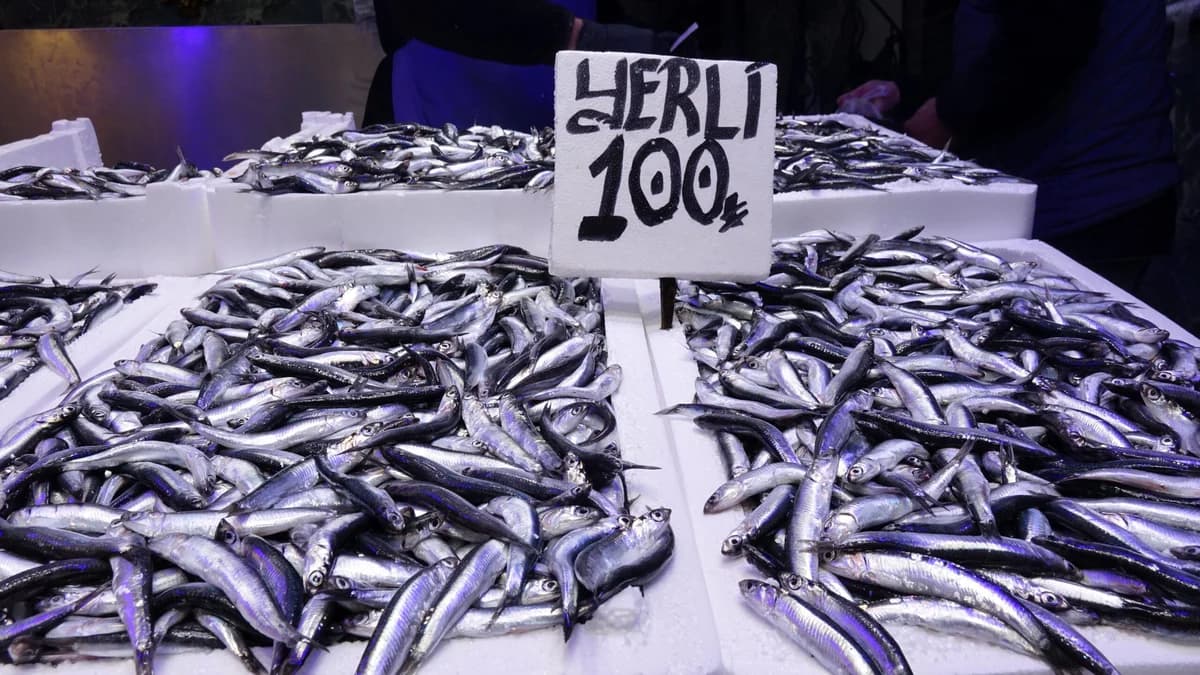 Ramazan’da Balık Tezgahlarında Hamsi ve İstavrit Bereketi