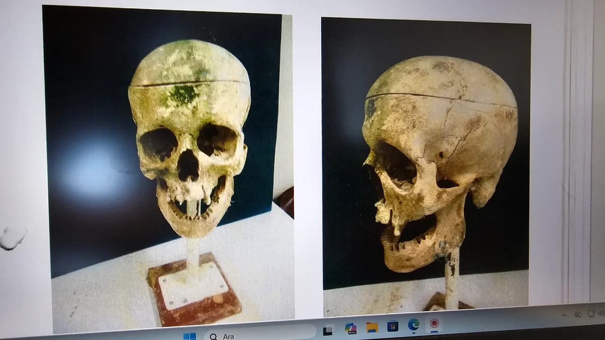 Kirpi Ahmet Cinayeti: 18 Yıl Sonra Gelen İtiraf ve Müebbet Hapis İstemi