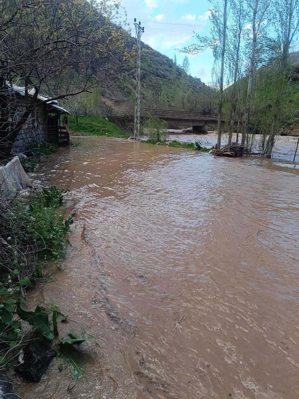 Şırnak’ta Felaket: Habur Çayı Taştı, Evler ve Ahırlar Sular Altında Kaldı