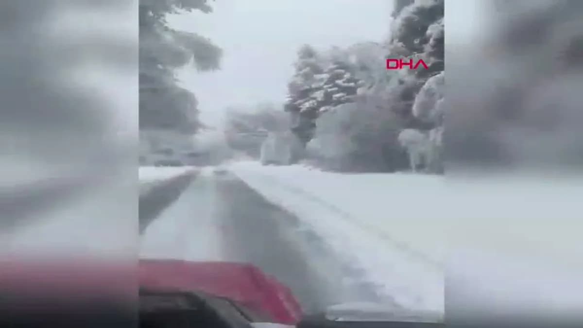 Bolu Dağı’nda Lodos Fırtınası Ağaçları Devirdi, Yollar Kapandı