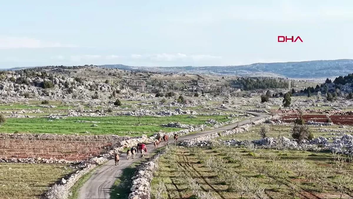 Yörüklerden Asırlık Göç: Develerle Toroslar’a Yolculuk Başladı