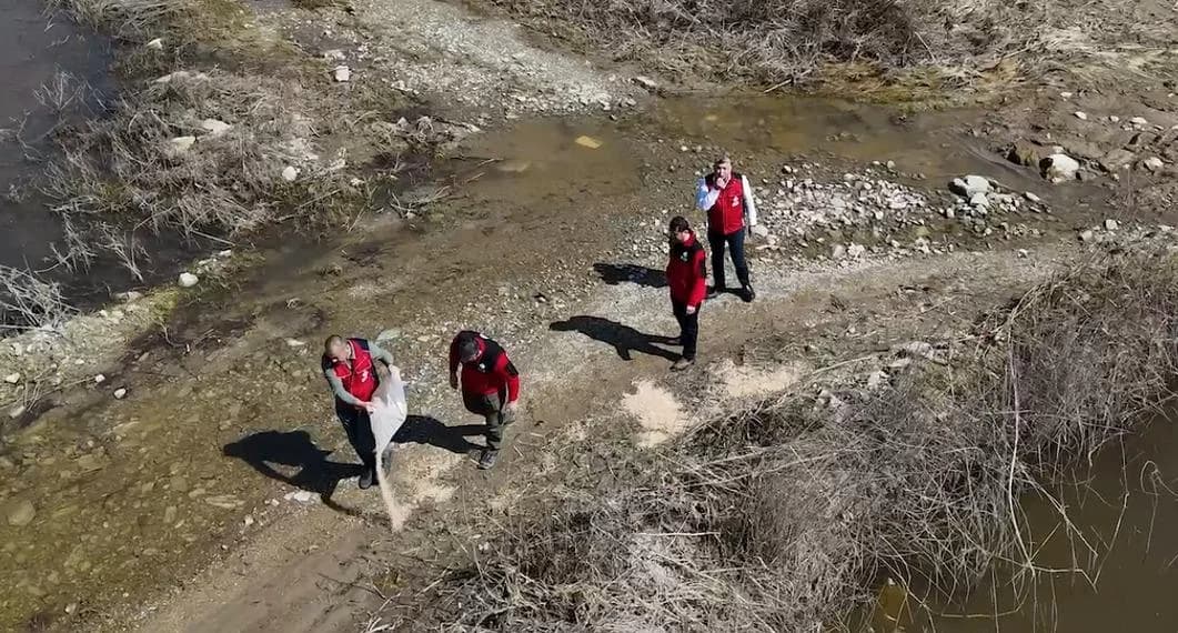 Aydın’da Flamingolar İçin Önemli Yemleme Faaliyetleri